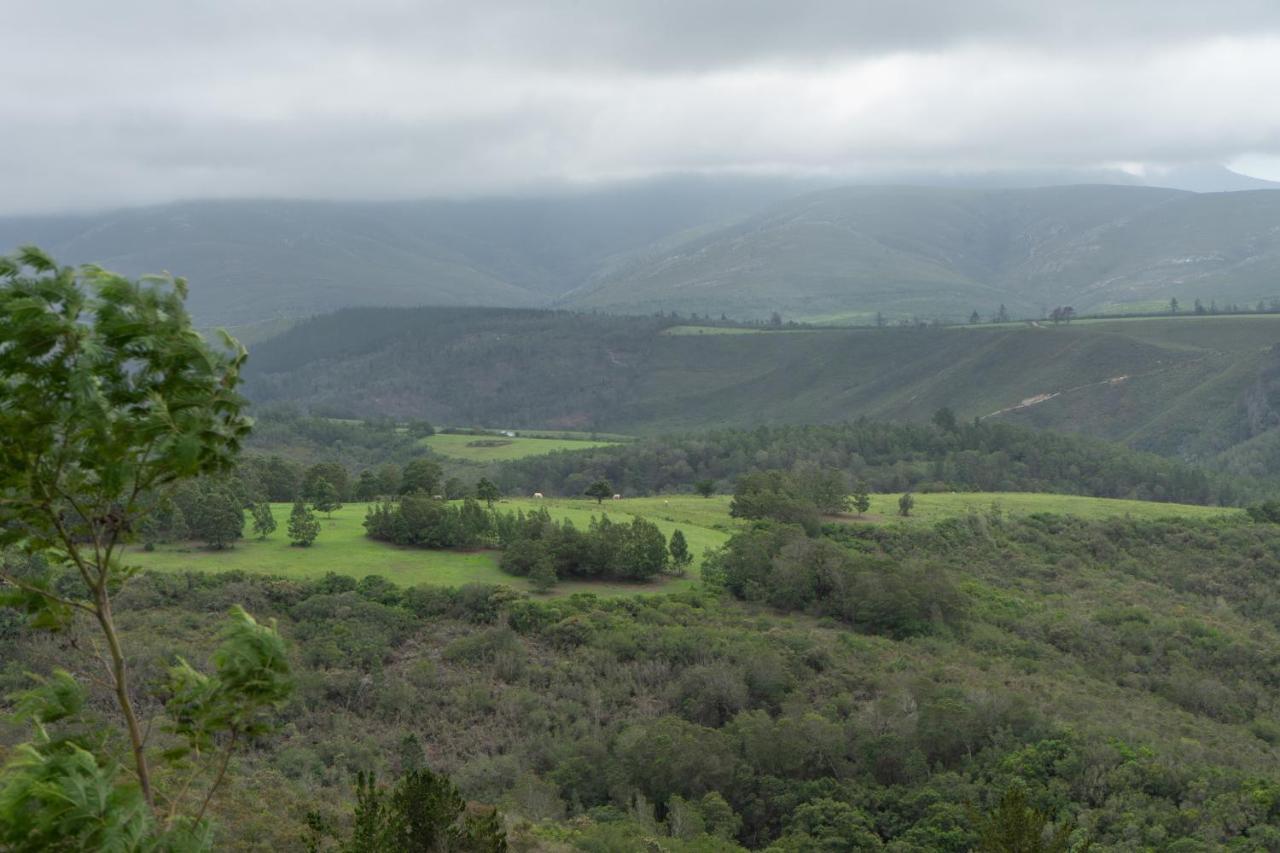 Outeniqua Moon Percheron Stud Farm Villa Ruiterbos Exterior photo