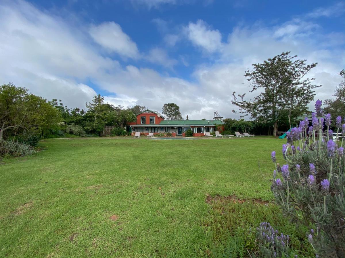 Outeniqua Moon Percheron Stud Farm Ruiterbos Exterior photo