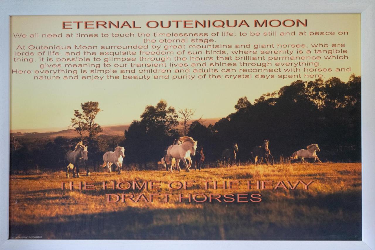 Outeniqua Moon Percheron Stud Farm Villa Ruiterbos Exterior photo