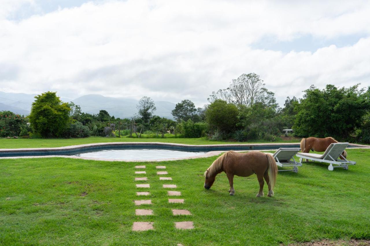 Outeniqua Moon Percheron Stud Farm Ruiterbos Exterior photo